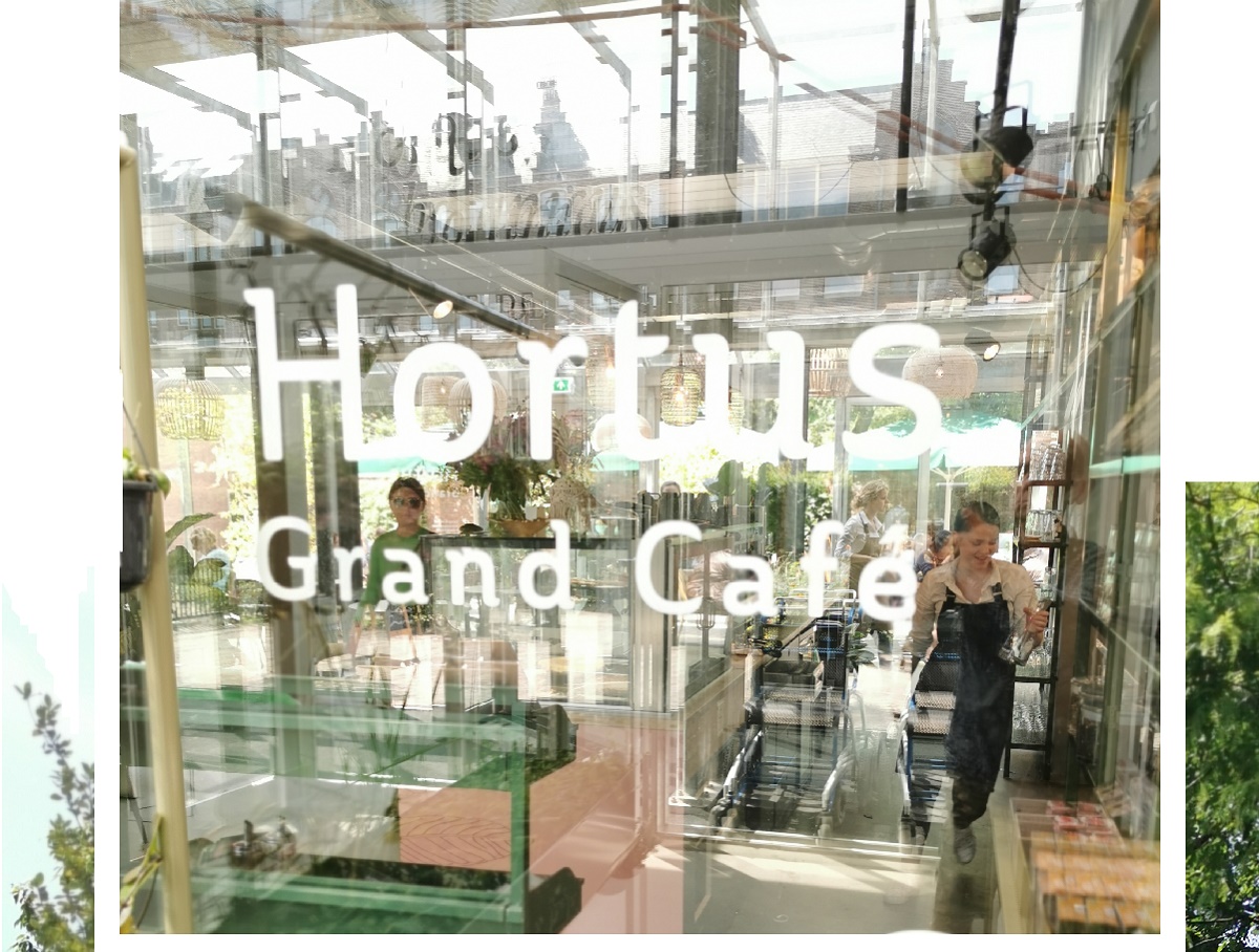 Hortus Botanicus LEIDENcity.EU