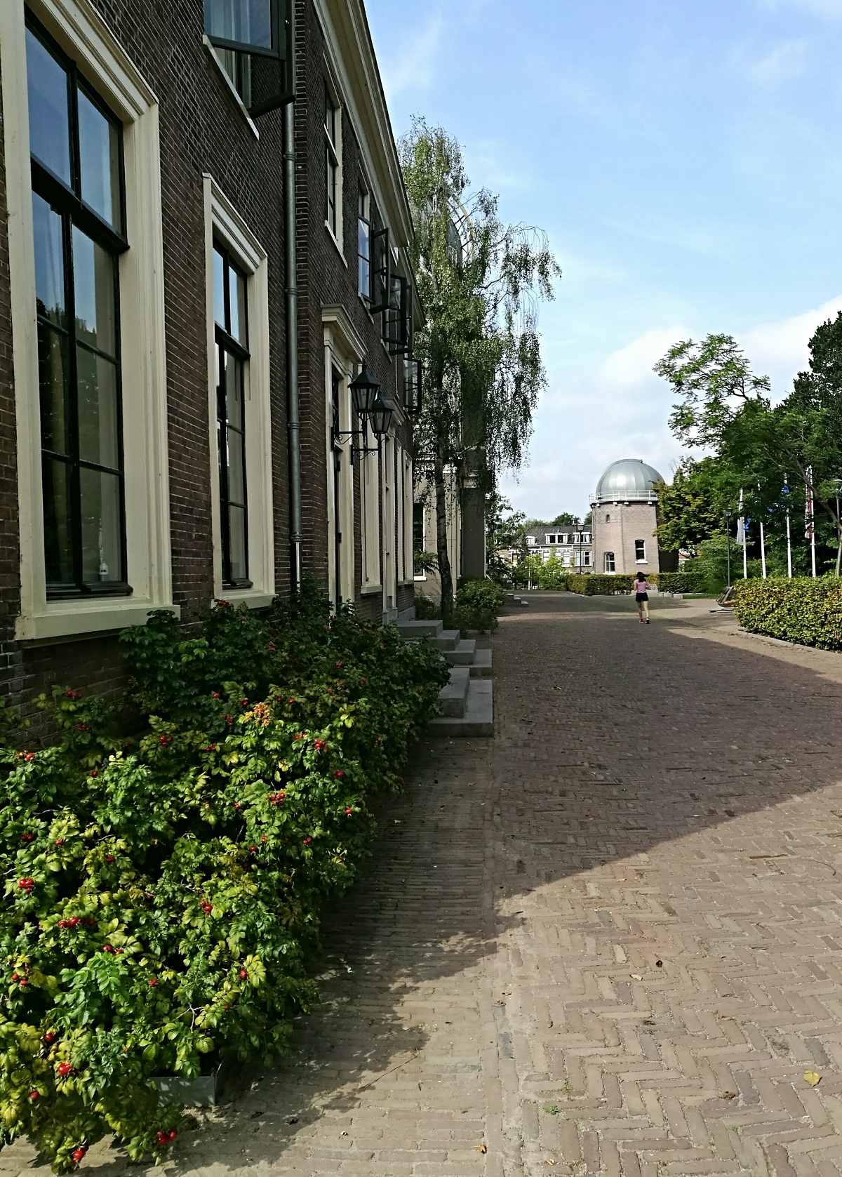 Leiden Observatory LEIDENcity.EU